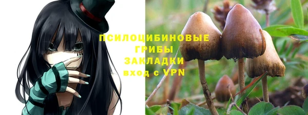 каннабис Зеленокумск