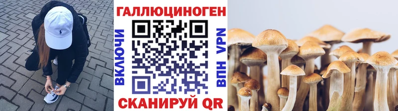 Псилоцибиновые грибы MAGIC MUSHROOMS  Купить где  Кропоткин 